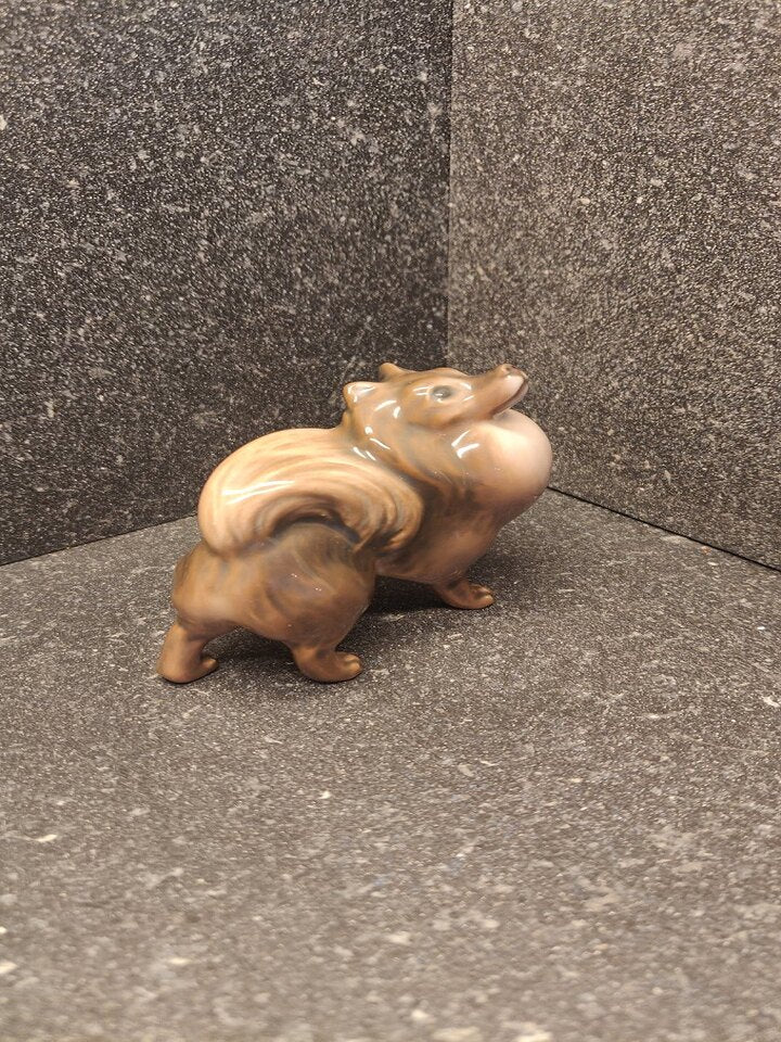 Pomeranian Hund fra Dahl Jensen nr 1148