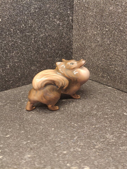 Pomeranian Hund fra Dahl Jensen nr 1148